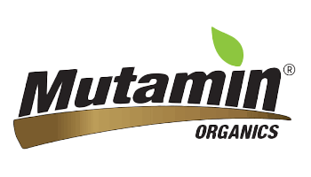 Mutamin